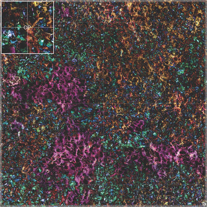 Mats by Mars: Mushroom Forest Tabletop Wargaming Play Mat