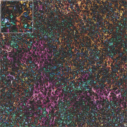 Mats by Mars: Mushroom Forest Tabletop Wargaming Play Mat