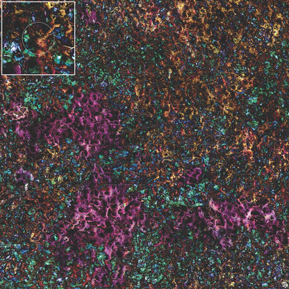 Mats by Mars: Mushroom Forest Tabletop Wargaming Play Mat