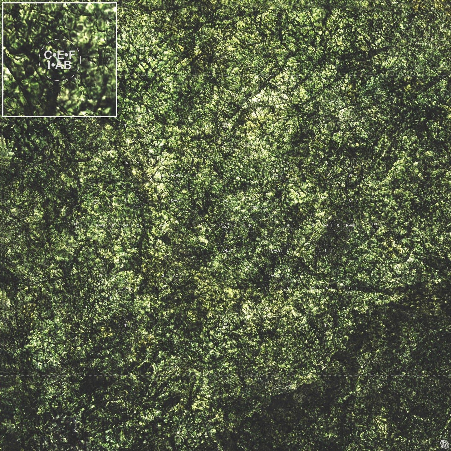 Mats by Mars: Creeping Mold Tabletop Wargaming Play Mat