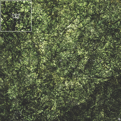 Mats by Mars: Creeping Mold Tabletop Wargaming Play Mat