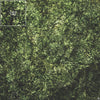 Mats by Mars: Creeping Mold Tabletop Wargaming Play Mat