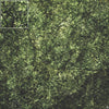 Mats by Mars: Creeping Mold Tabletop Wargaming Play Mat