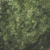 Mats by Mars: Creeping Mold Tabletop Wargaming Play Mat