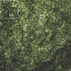 Mats by Mars: Creeping Mold Tabletop Wargaming Play Mat