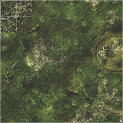 Mats by Mars: Forgotten Temple (Basin) Tabletop Wargaming Play Mat