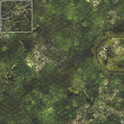 Mats by Mars: Forgotten Temple (Basin) Tabletop Wargaming Play Mat