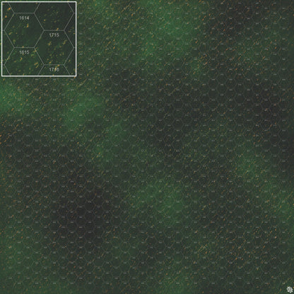 Mats by Mars: Carnivale Canals Tabletop Wargaming Play Mat