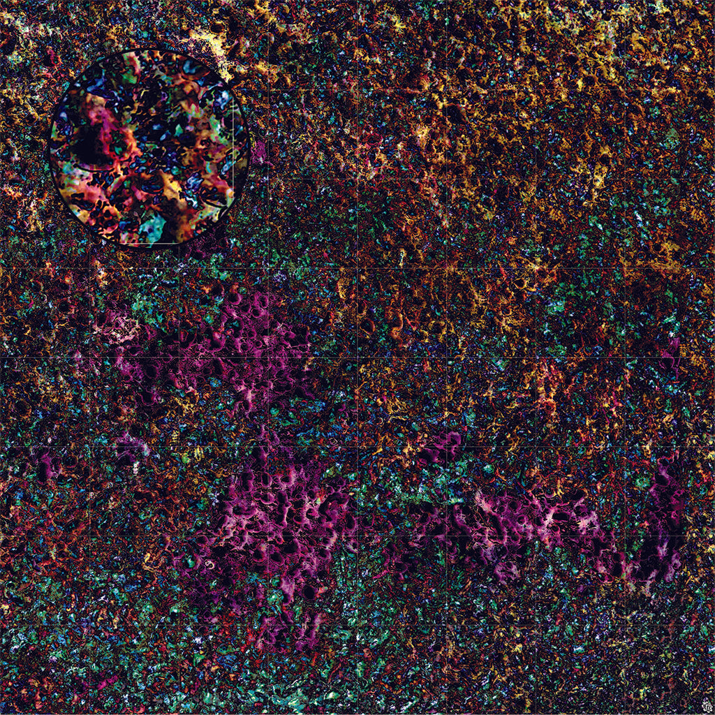 Mats by Mars: Mushroom Forest Tabletop Wargaming Play Mat