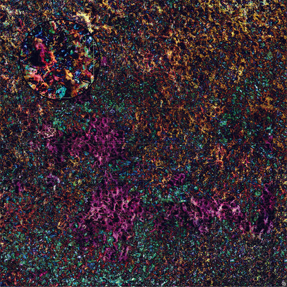 Mats by Mars: Mushroom Forest Tabletop Wargaming Play Mat