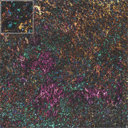 Mats by Mars: Mushroom Forest Tabletop Wargaming Play Mat