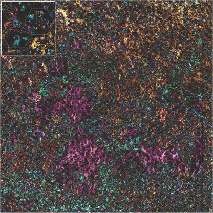 Mats by Mars: Mushroom Forest Tabletop Wargaming Play Mat