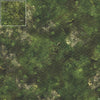 Mats by Mars: Forgotten Temple (Plaza) Tabletop Wargaming Play Mat
