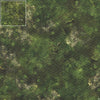 Mats by Mars: Forgotten Temple (Plaza) Tabletop Wargaming Play Mat