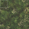 Mats by Mars: Forgotten Temple (Basin) Tabletop Wargaming Play Mat