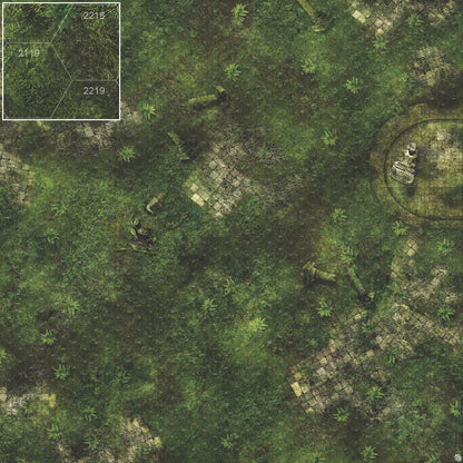 Mats by Mars: Forgotten Temple (Basin) Tabletop Wargaming Play Mat