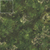 Mats by Mars: Forgotten Temple (Basin) Tabletop Wargaming Play Mat