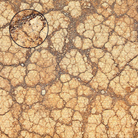 Mats by Mars: Desert Tabletop Wargaming Play Mat