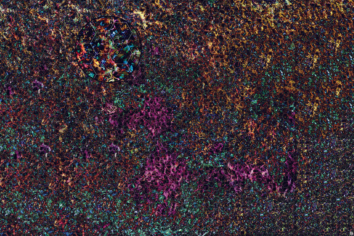 Mats by Mars: Mushroom Forest Tabletop Wargaming Play Mat