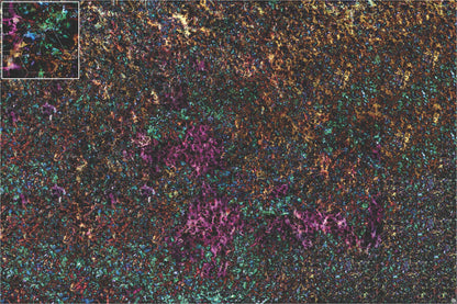 Mats by Mars: Mushroom Forest Tabletop Wargaming Play Mat