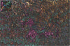 Mats by Mars: Mushroom Forest Tabletop Wargaming Play Mat