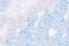 Mats by Mars: Frozen Lake Tabletop Wargaming Play Mat