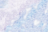 Mats by Mars: Frozen Lake Tabletop Wargaming Play Mat