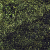 Mats by Mars: Creeping Mold Tabletop Wargaming Play Mat