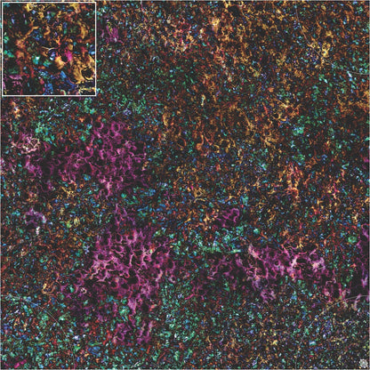 Mats by Mars: Mushroom Forest Tabletop Wargaming Play Mat