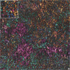 Mats by Mars: Mushroom Forest Tabletop Wargaming Play Mat
