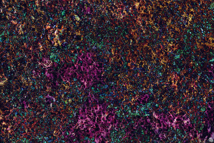 Mats by Mars: Mushroom Forest Tabletop Wargaming Play Mat