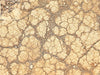 Mats by Mars: Desert Tabletop Wargaming Play Mat