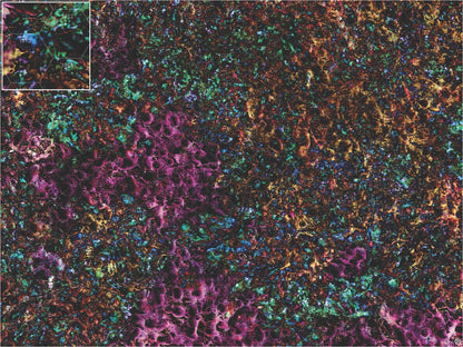 Mats by Mars: Mushroom Forest Tabletop Wargaming Play Mat