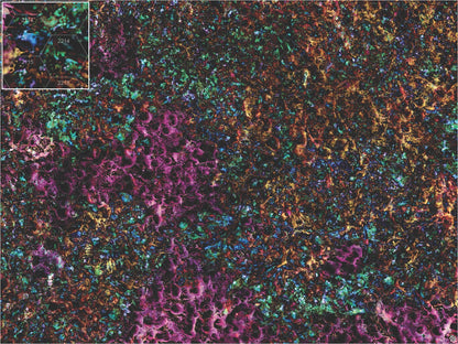 Mats by Mars: Mushroom Forest Tabletop Wargaming Play Mat