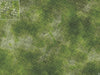 Mats by Mars: Overgrown Cobbles Tabletop Wargaming Play Mat