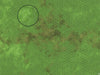 Mats by Mars: Verdant Fields Tabletop Wargaming Play Mat