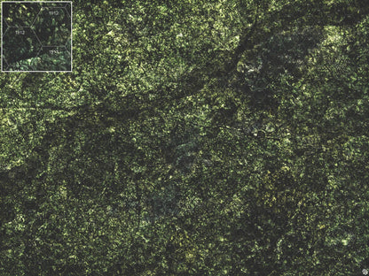 Mats by Mars: Creeping Mold Tabletop Wargaming Play Mat