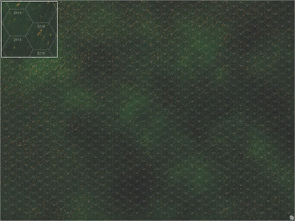 Mats by Mars: Carnivale Canals Tabletop Wargaming Play Mat
