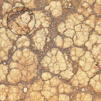 Mats by Mars: Desert Tabletop Wargaming Play Mat