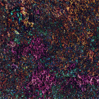 Mats by Mars: Mushroom Forest Tabletop Wargaming Play Mat