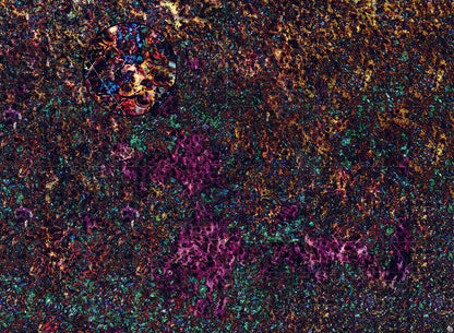 Mats by Mars: Mushroom Forest Tabletop Wargaming Play Mat