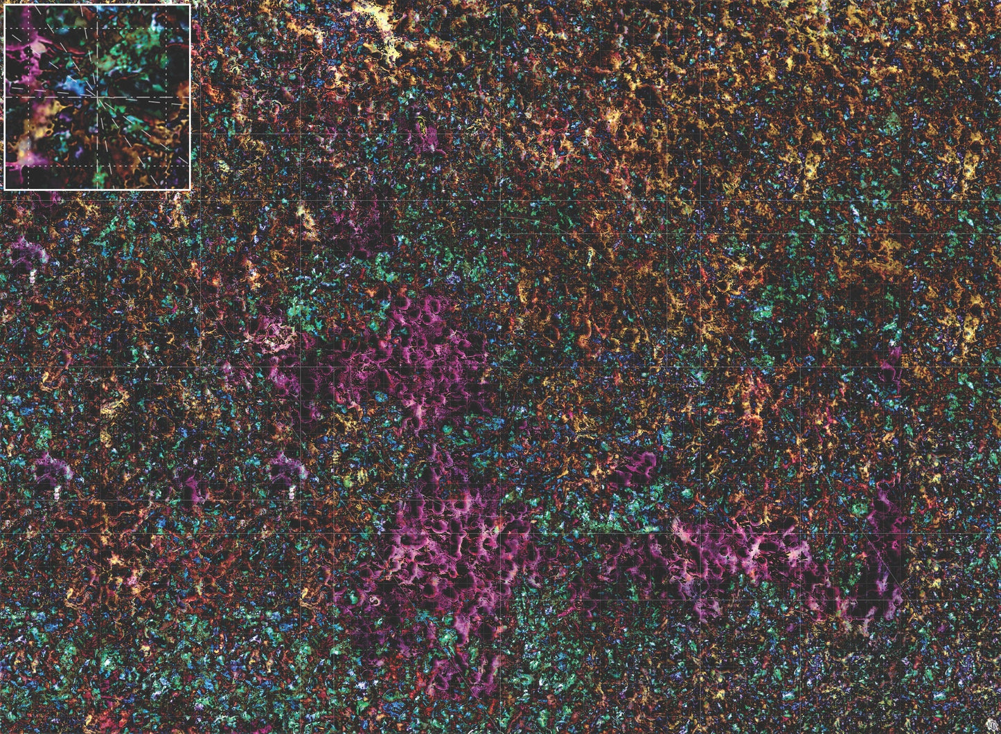 Mats by Mars: Mushroom Forest Tabletop Wargaming Play Mat