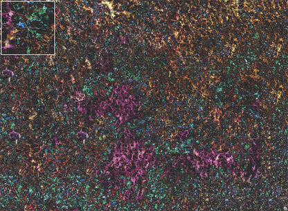 Mats by Mars: Mushroom Forest Tabletop Wargaming Play Mat