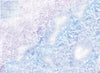 Mats by Mars: Frozen Lake Tabletop Wargaming Play Mat