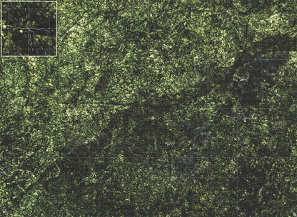 Mats by Mars: Creeping Mold Tabletop Wargaming Play Mat