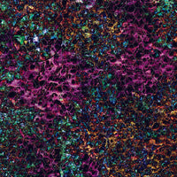 Mats by Mars: Mushroom Forest Tabletop Wargaming Play Mat