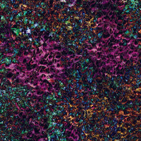 Mats by Mars: Mushroom Forest Tabletop Wargaming Play Mat