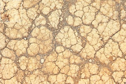 Mats by Mars: Desert Tabletop Wargaming Play Mat