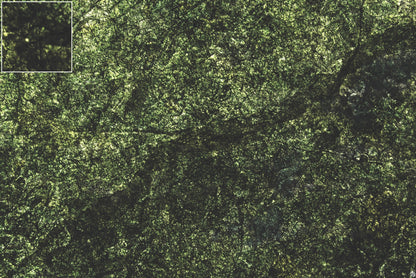 Mats by Mars: Creeping Mold Tabletop Wargaming Play Mat