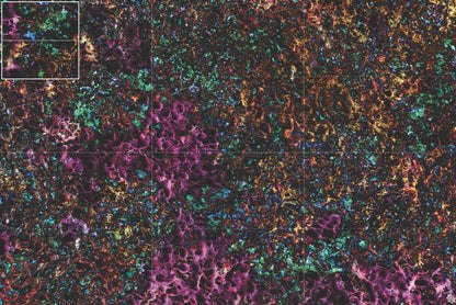 Mats by Mars: Mushroom Forest Tabletop Wargaming Play Mat